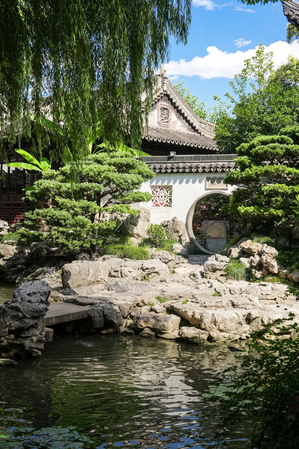 石间见绿